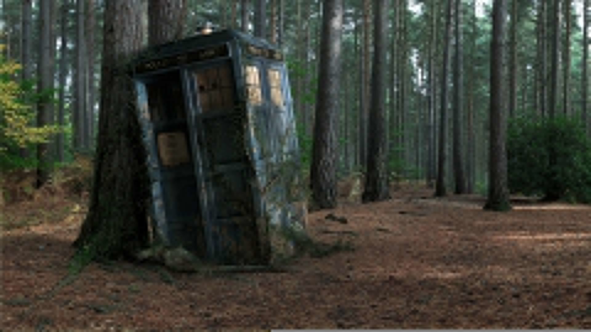 Abandoned TARDIS Doctor Who trees forest phone booth wallpaper