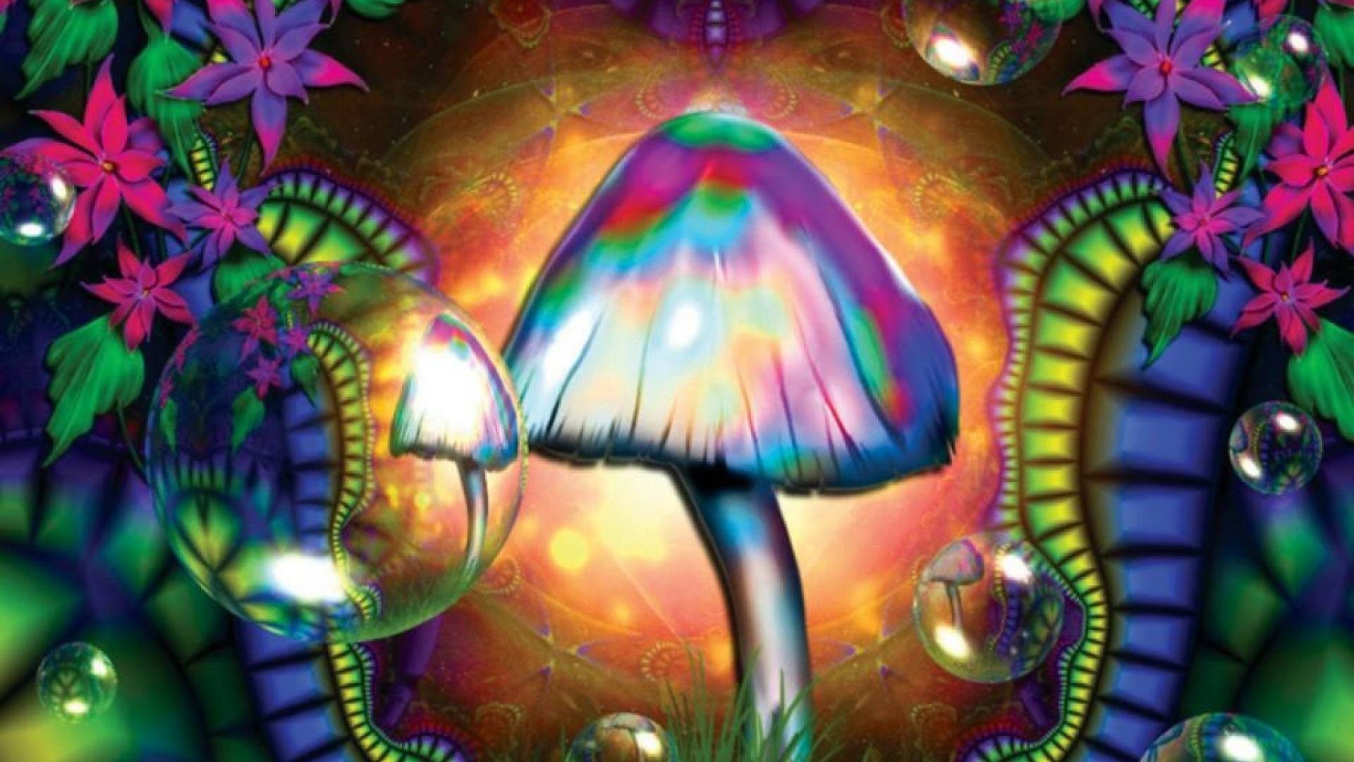 1000 Trippy Wallpapers Psychedelic Backgrounds HD 2017