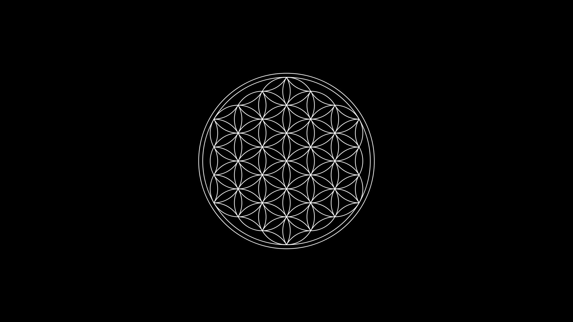 Truth one flower of life sacred geometry 1920×1080 66828