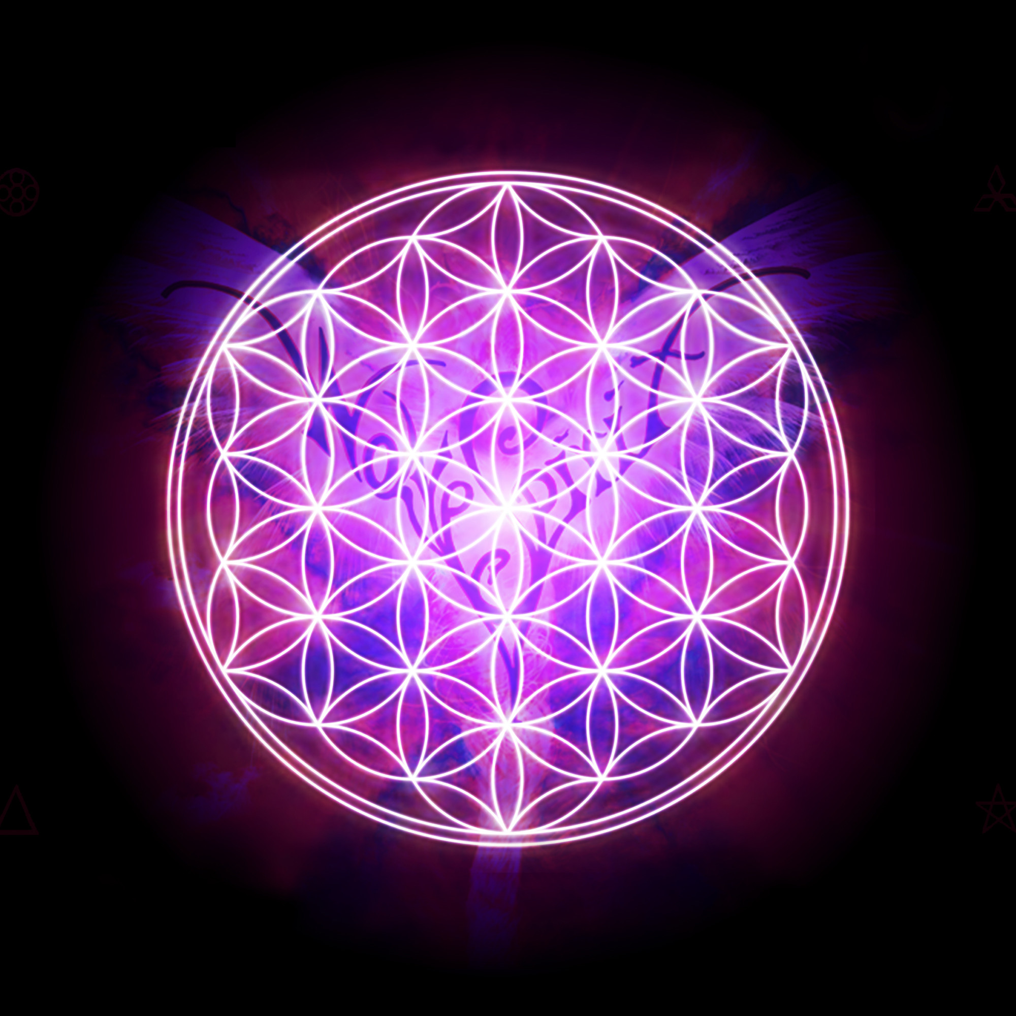 Free download Sacred Geometry Flower Of Life Wallpaper Flower of life  creation by 1024x768 for your Desktop Mobile  Tablet  Explore 48 Flower  of Life Wallpaper  Wallpaper Of Flower Tree