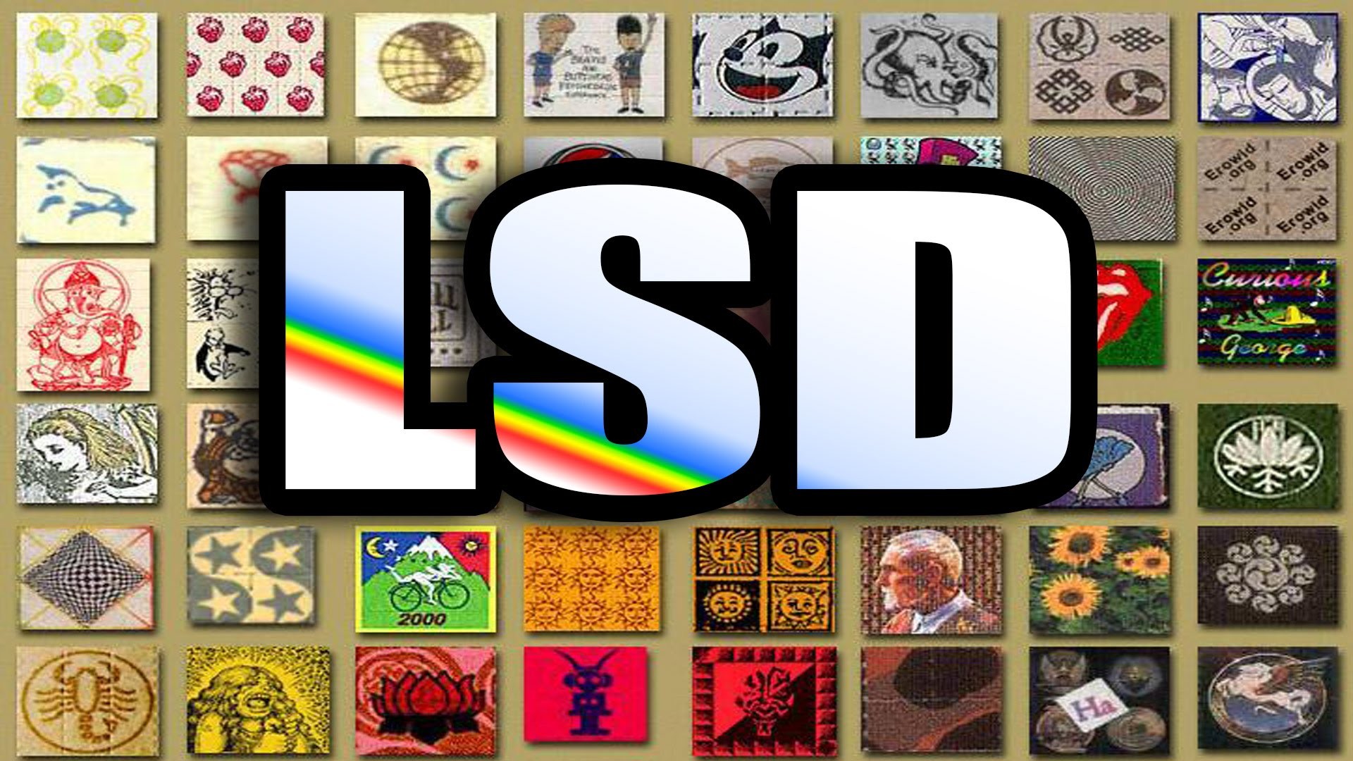What Is LSD Drug LSD Effects LSD Trip https / /