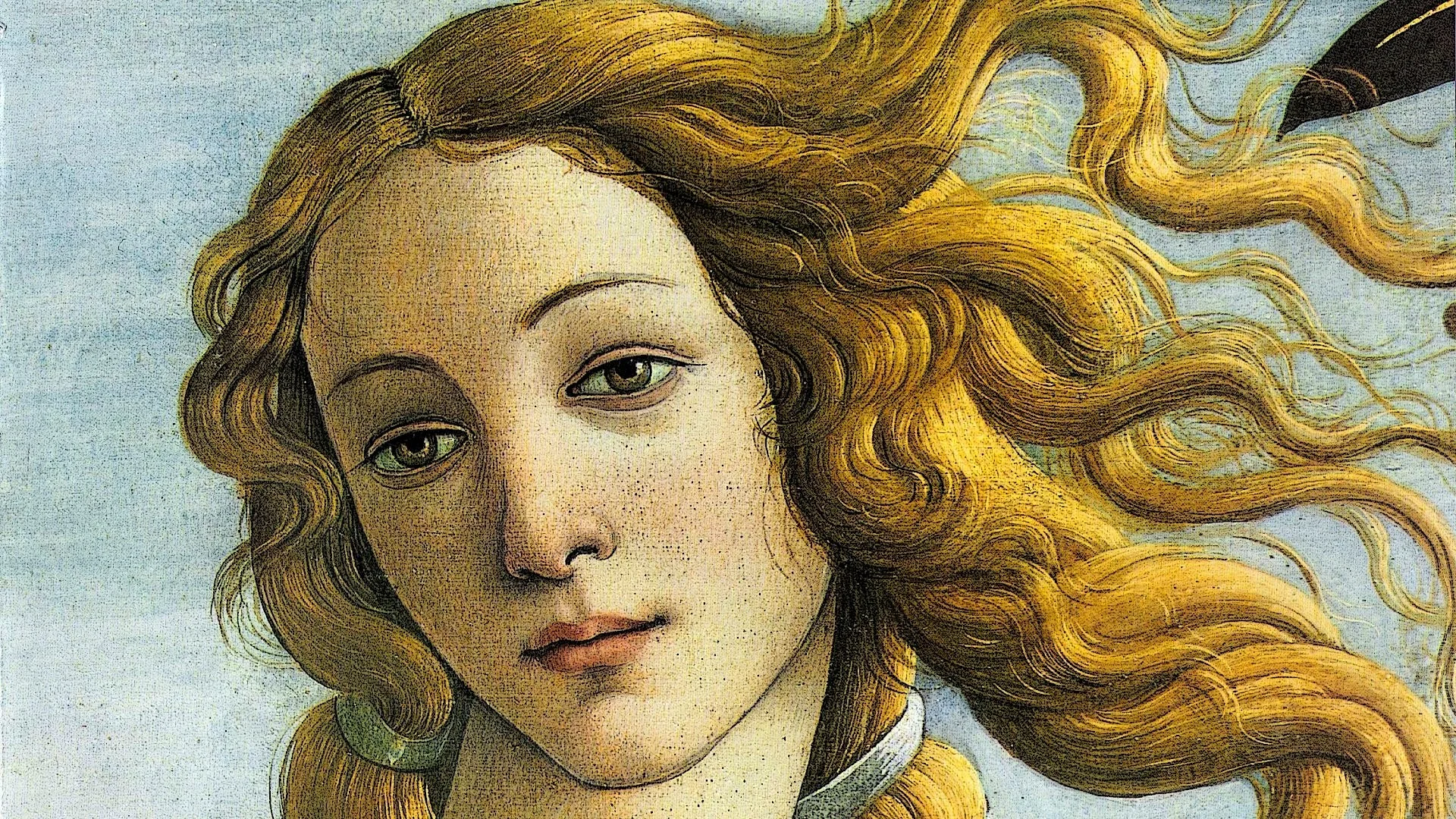Photo 7 Dec 14 notes The Birth of Venus 1485 by Sandro Botticelli