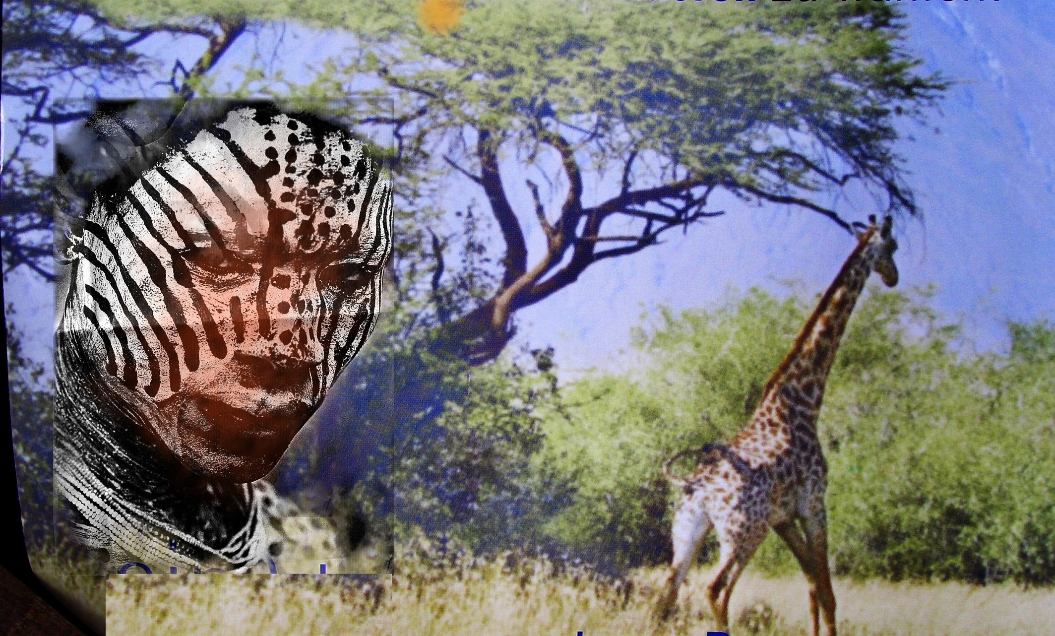 African warrior Wallpaper Background 14280