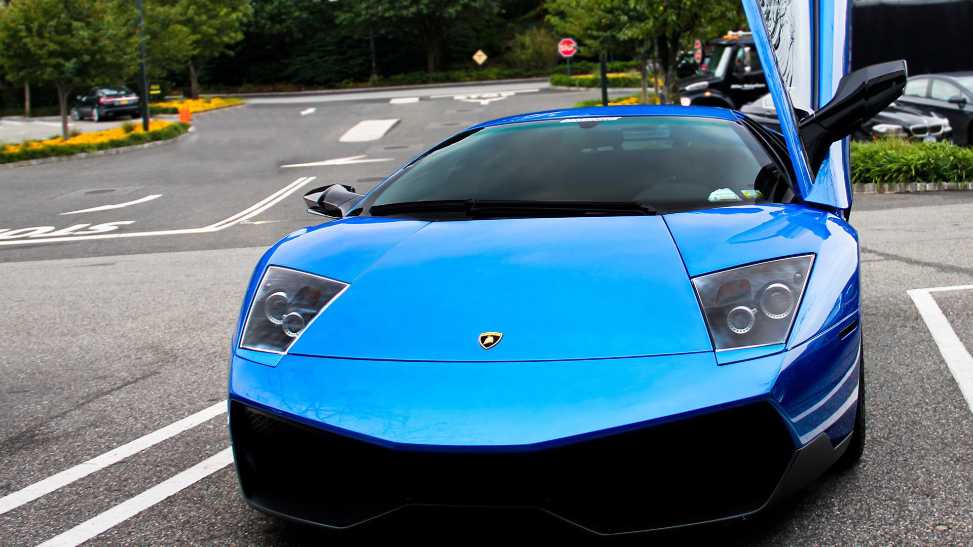 Blue Lamborghini Car