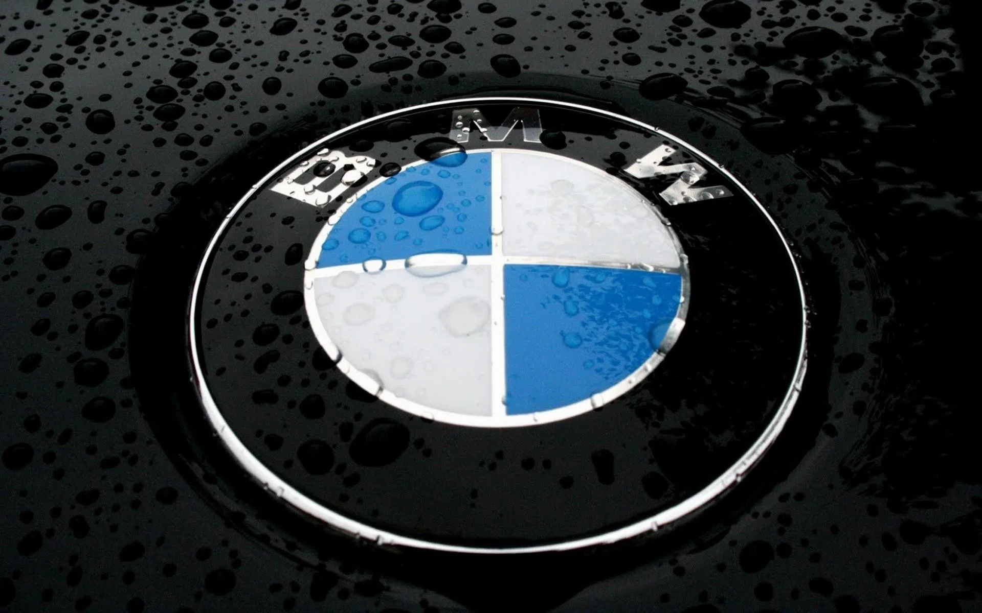 Bmw Logo Car  Wallpaper  Chillout Wallpapers