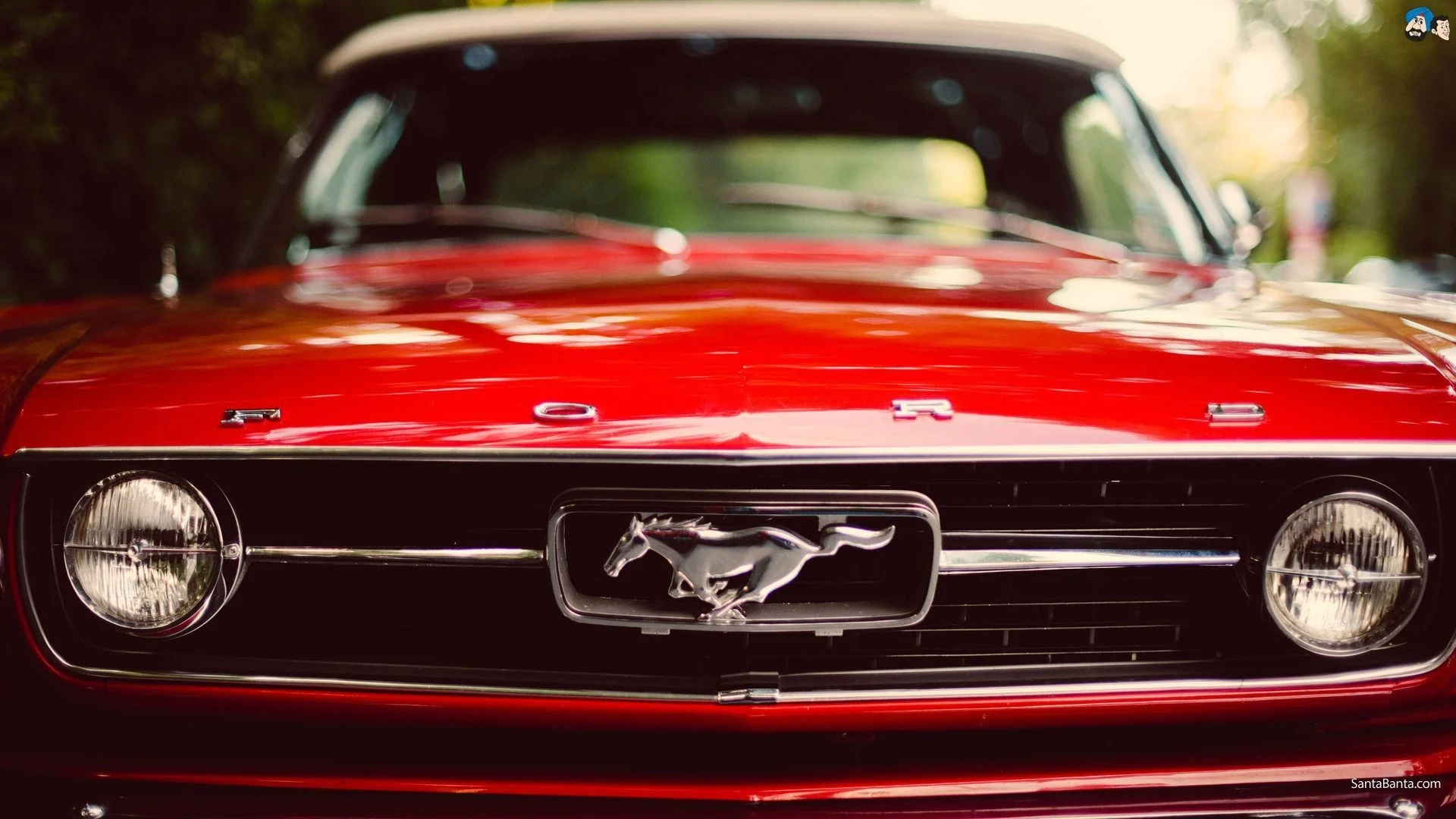 Ford Mustang Wallpapers Wallpaper