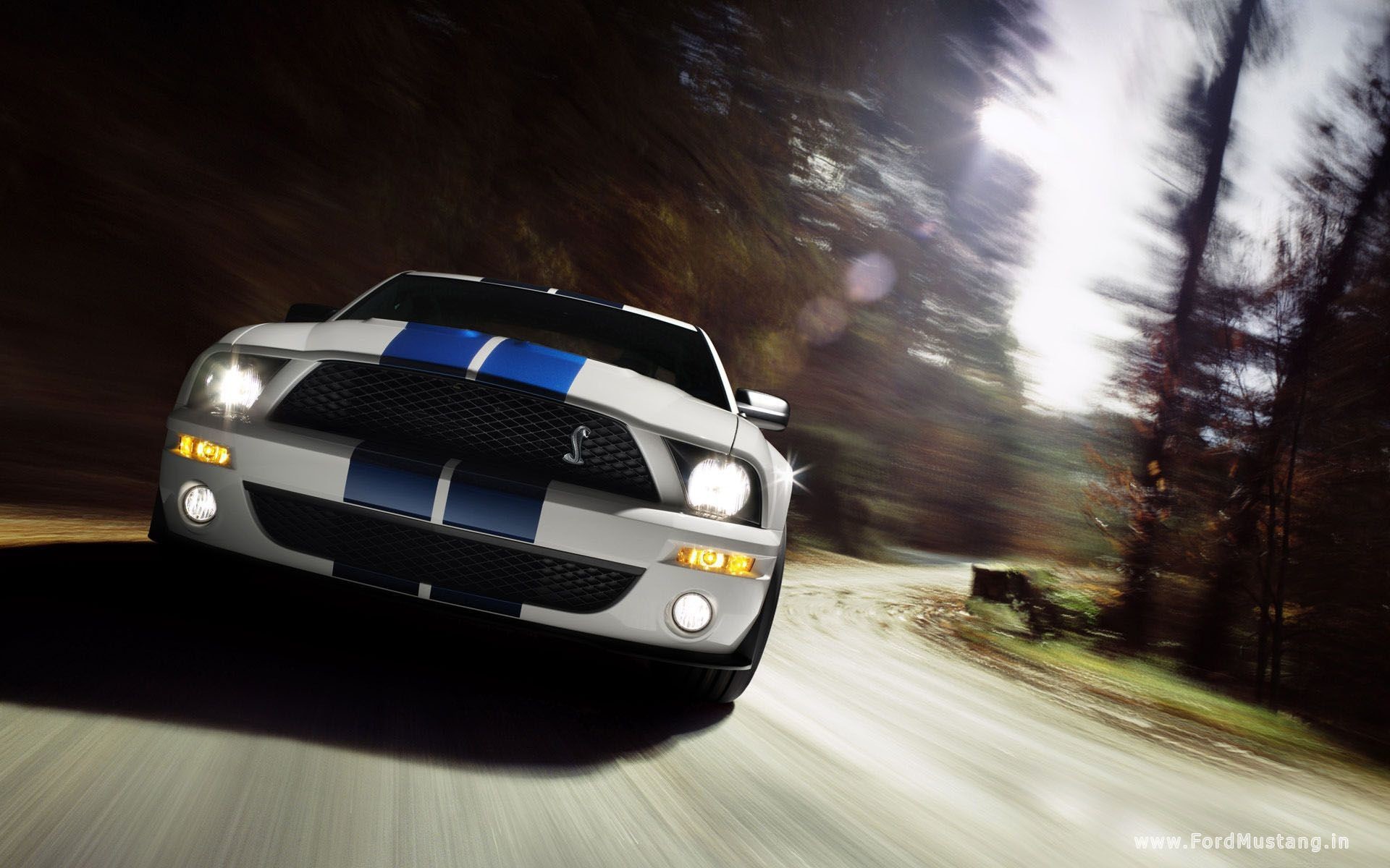 Ford Mustang Wallpapers – Wallpaper Cave