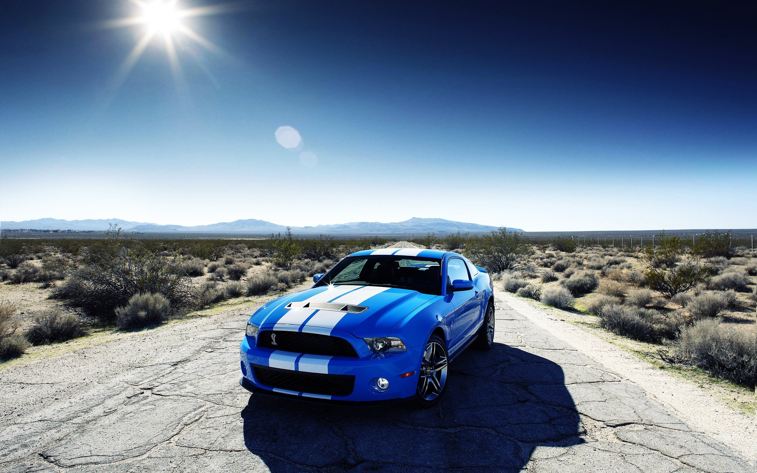 Ford Mustang Wallpaper 1660