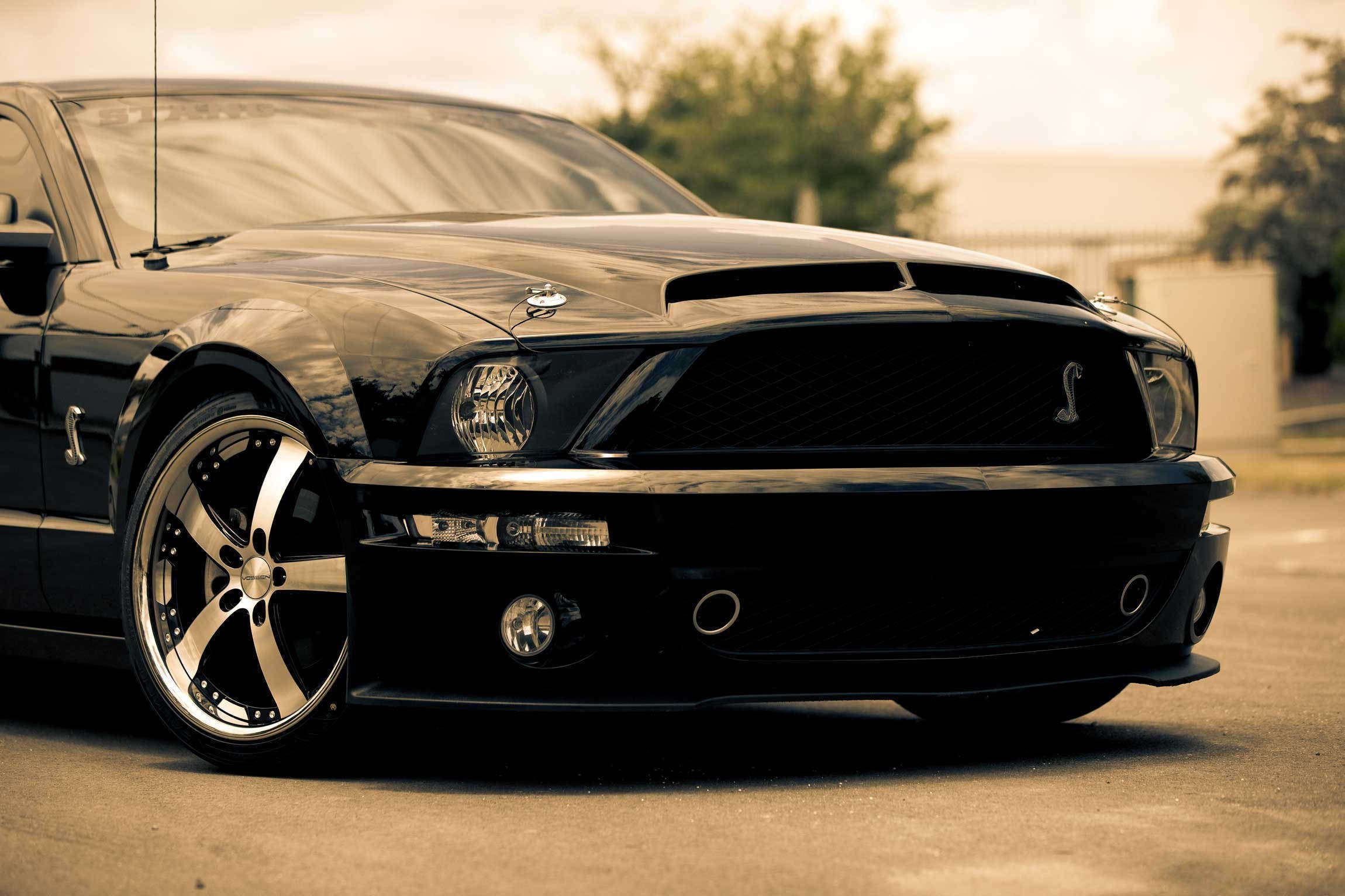 Black Ford Mustang HD wallpapers free download  Wallpaperbetter