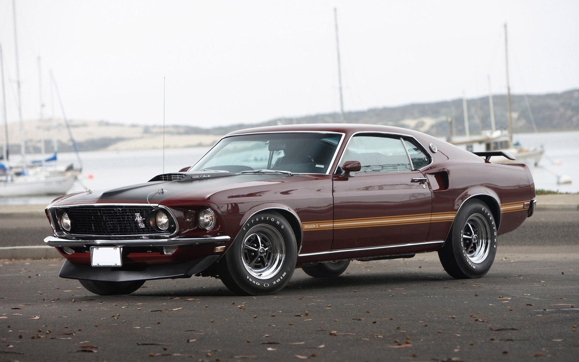11 Ford Mustang Mach 1 HD Wallpapers Backgrounds – Wallpaper Abyss