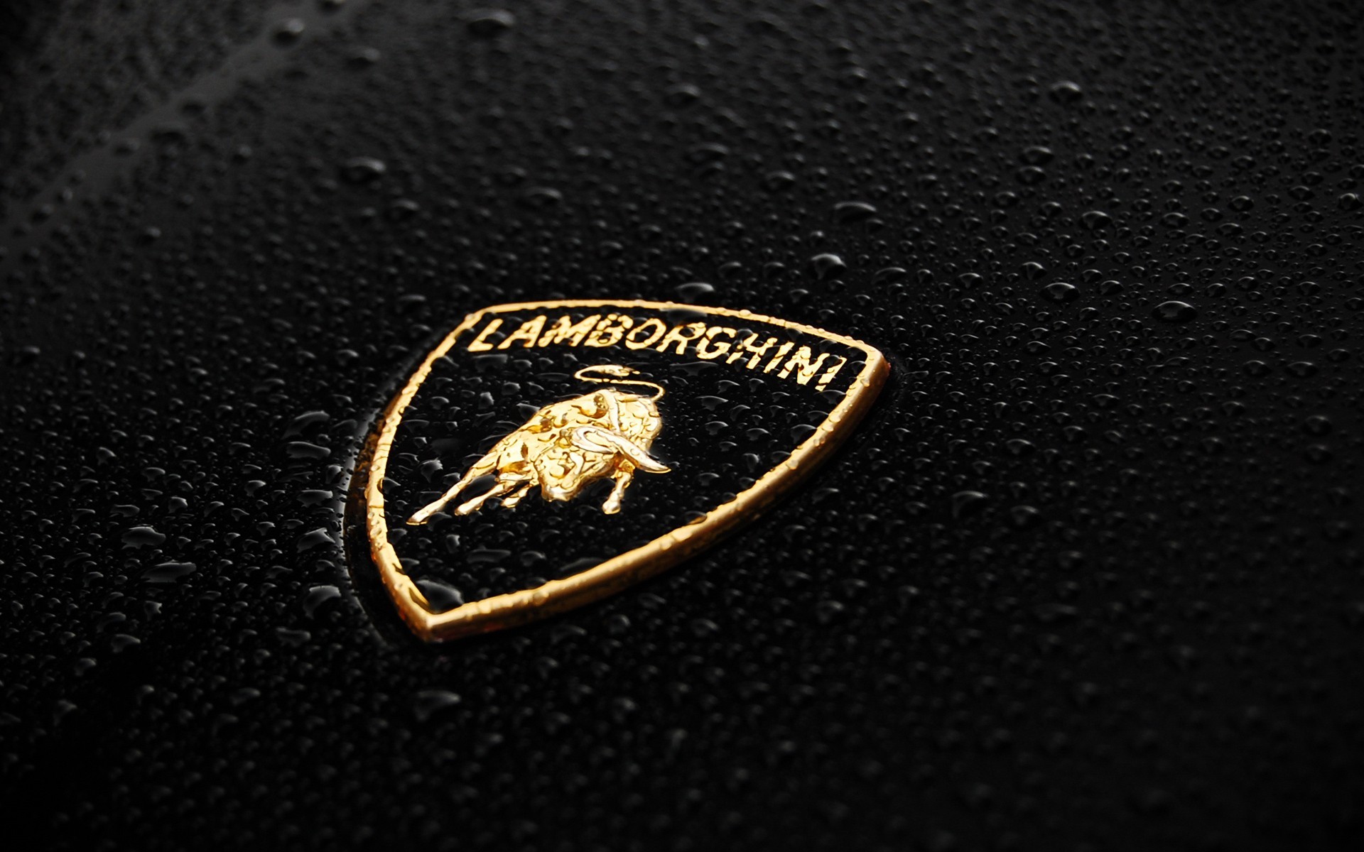 Lamborghini Logo Wallpaper Lamborghini Logo Wallpaper