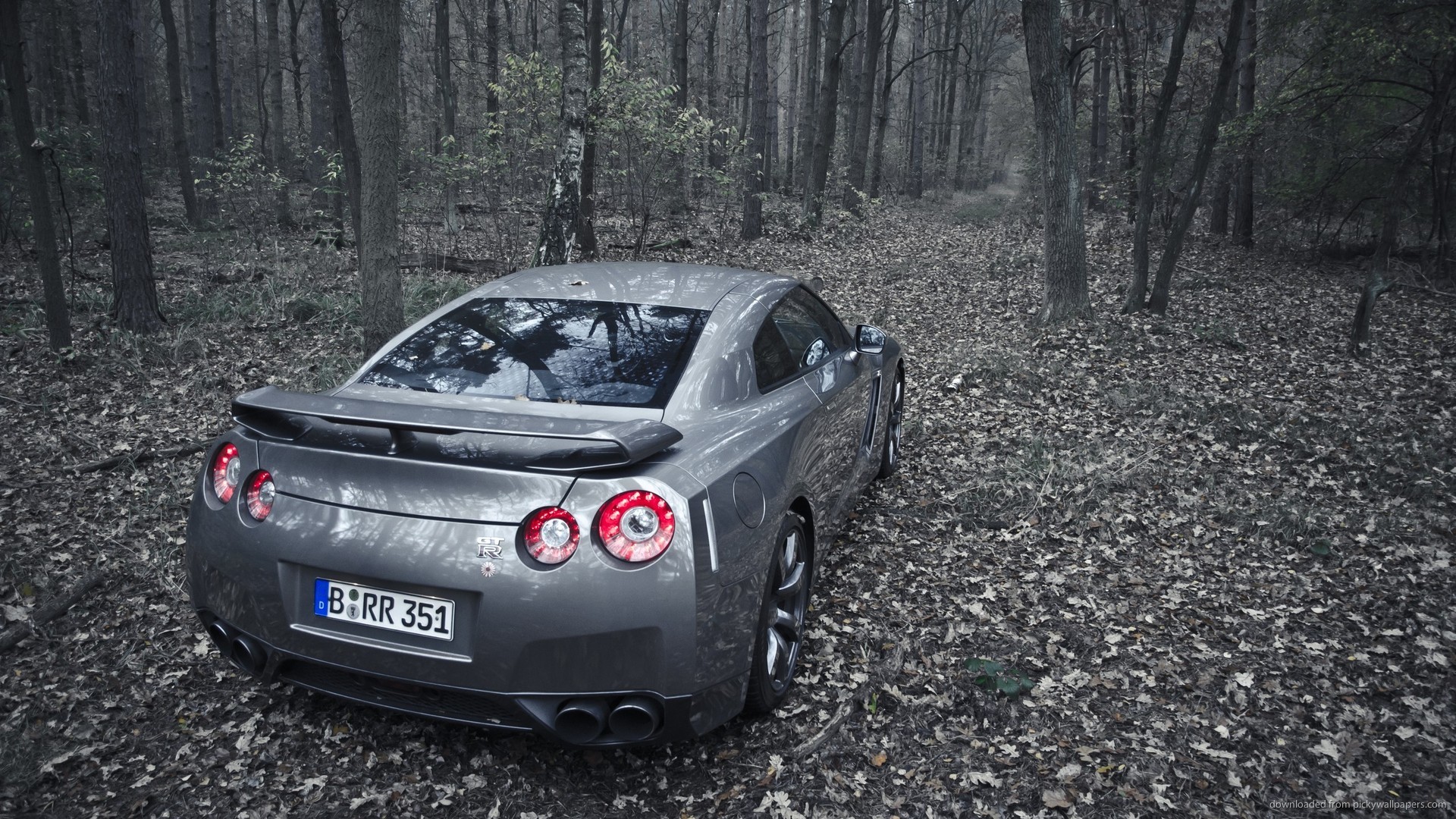 Grey Nissan GT-R Forest picture