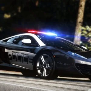 Police Car