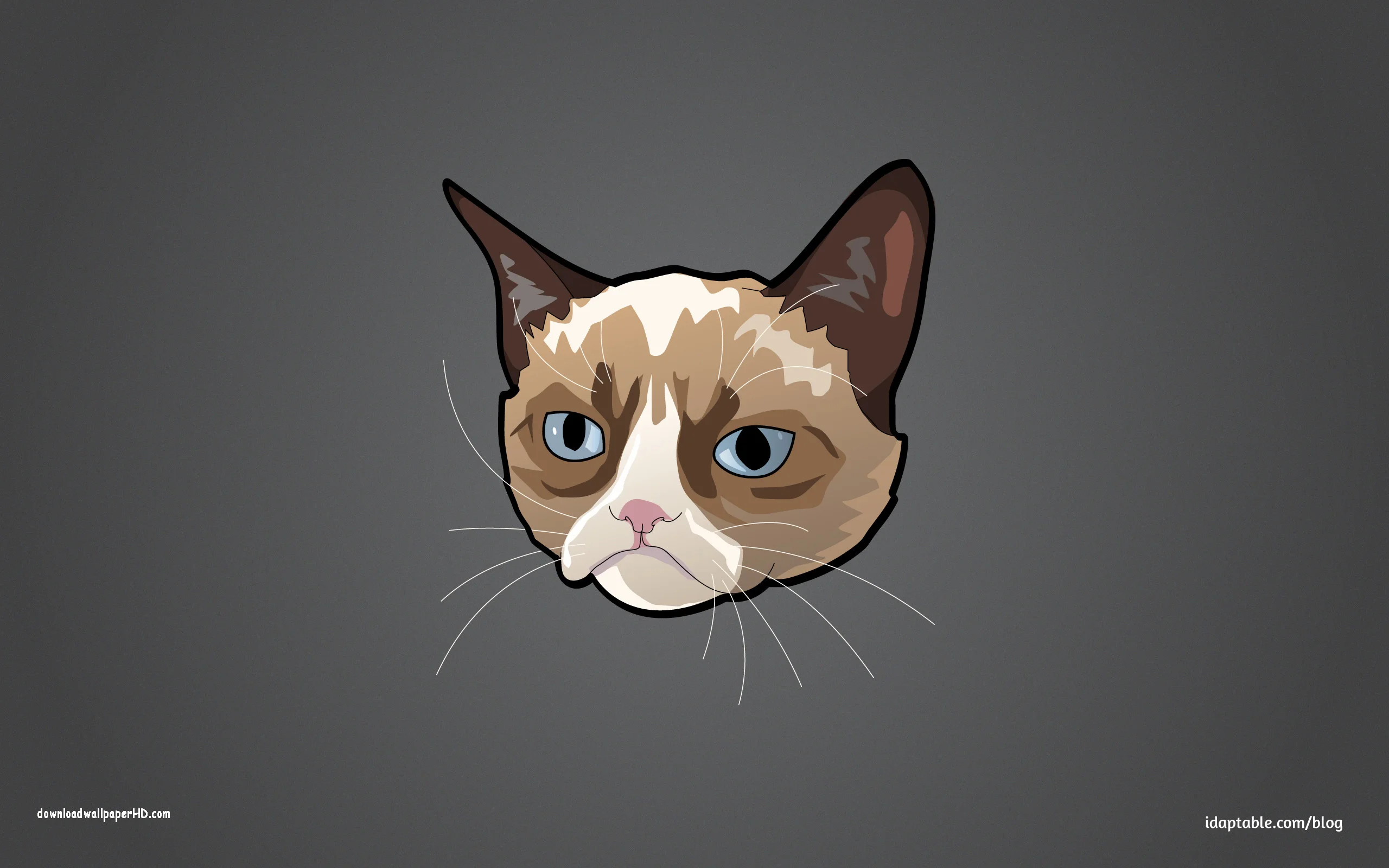 Grumpy Cat Cartoon HD Wallpaper for Desktop