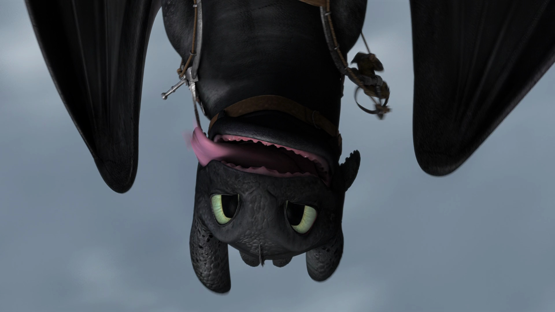Aggregate 65+ cute toothless wallpaper latest - in.cdgdbentre