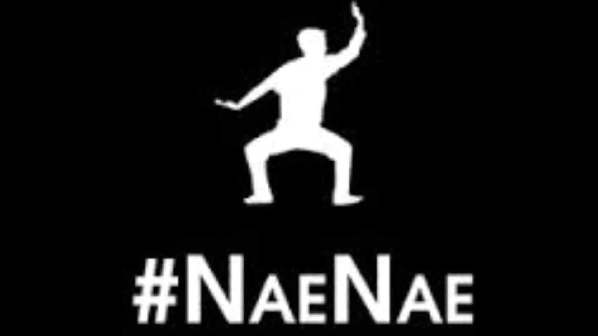 Nae Nae WEARETOONZ official song HD – YouTube