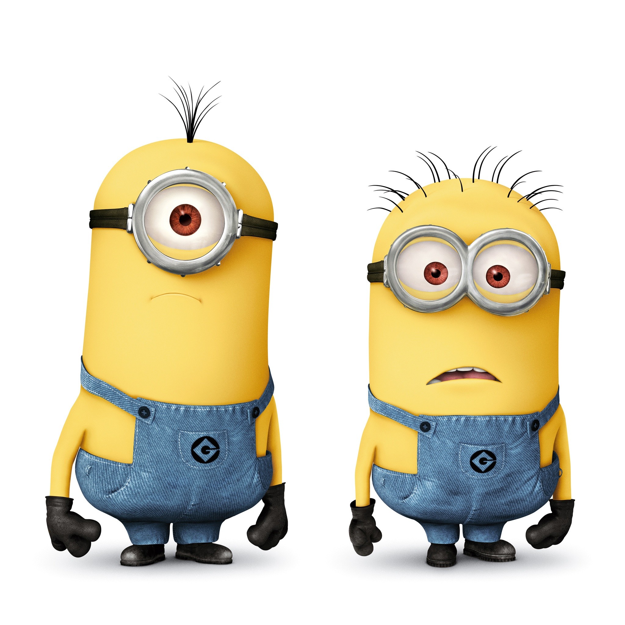 minions | Minions in Despicable Me 2 HD Wallpaper – iHD Wallpapers