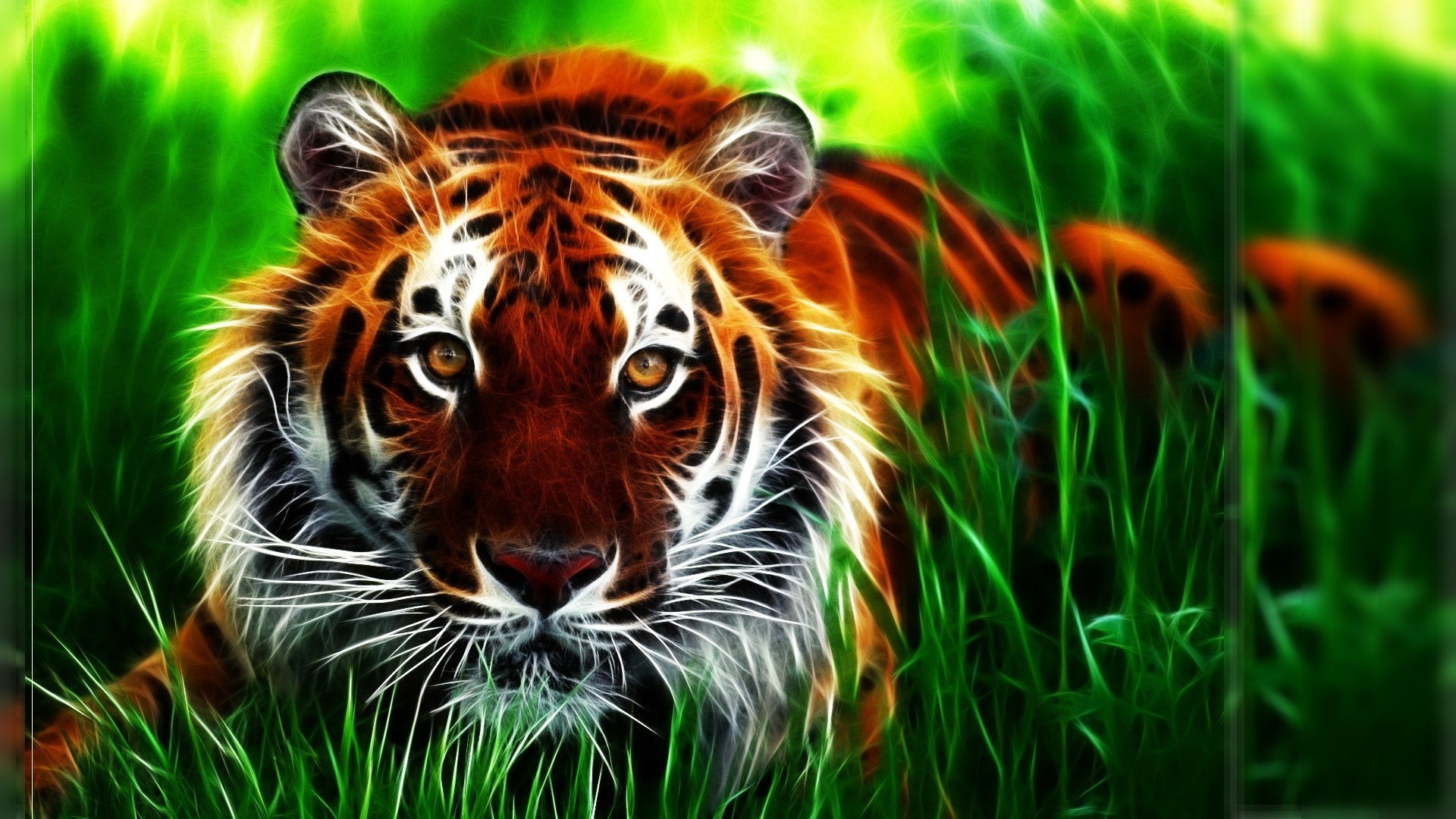 hd 3d tiger pics hd tiger wallpapers