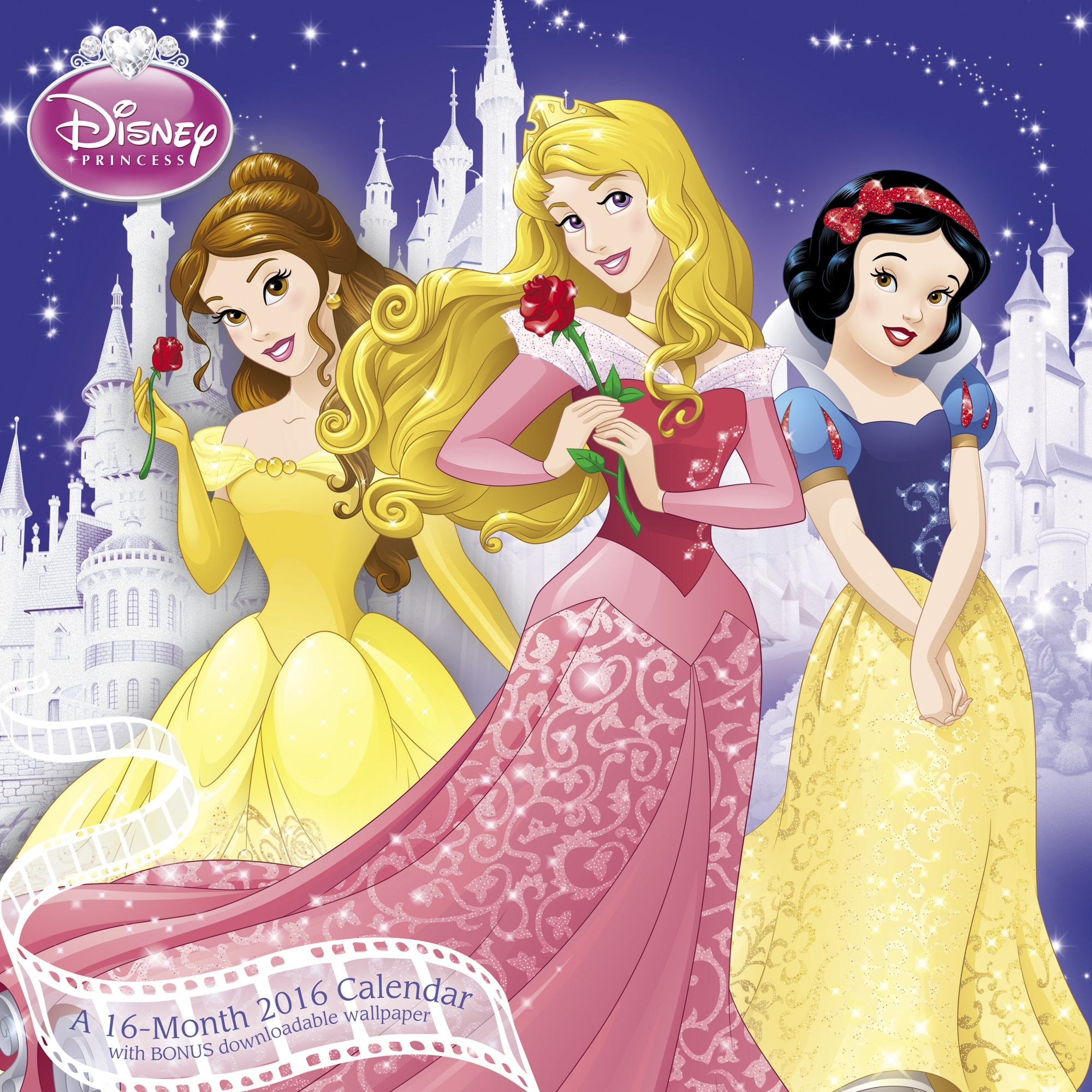 Disney Princess Wall Calendar 2016 Mead 0038576364769 Amazon.com Books