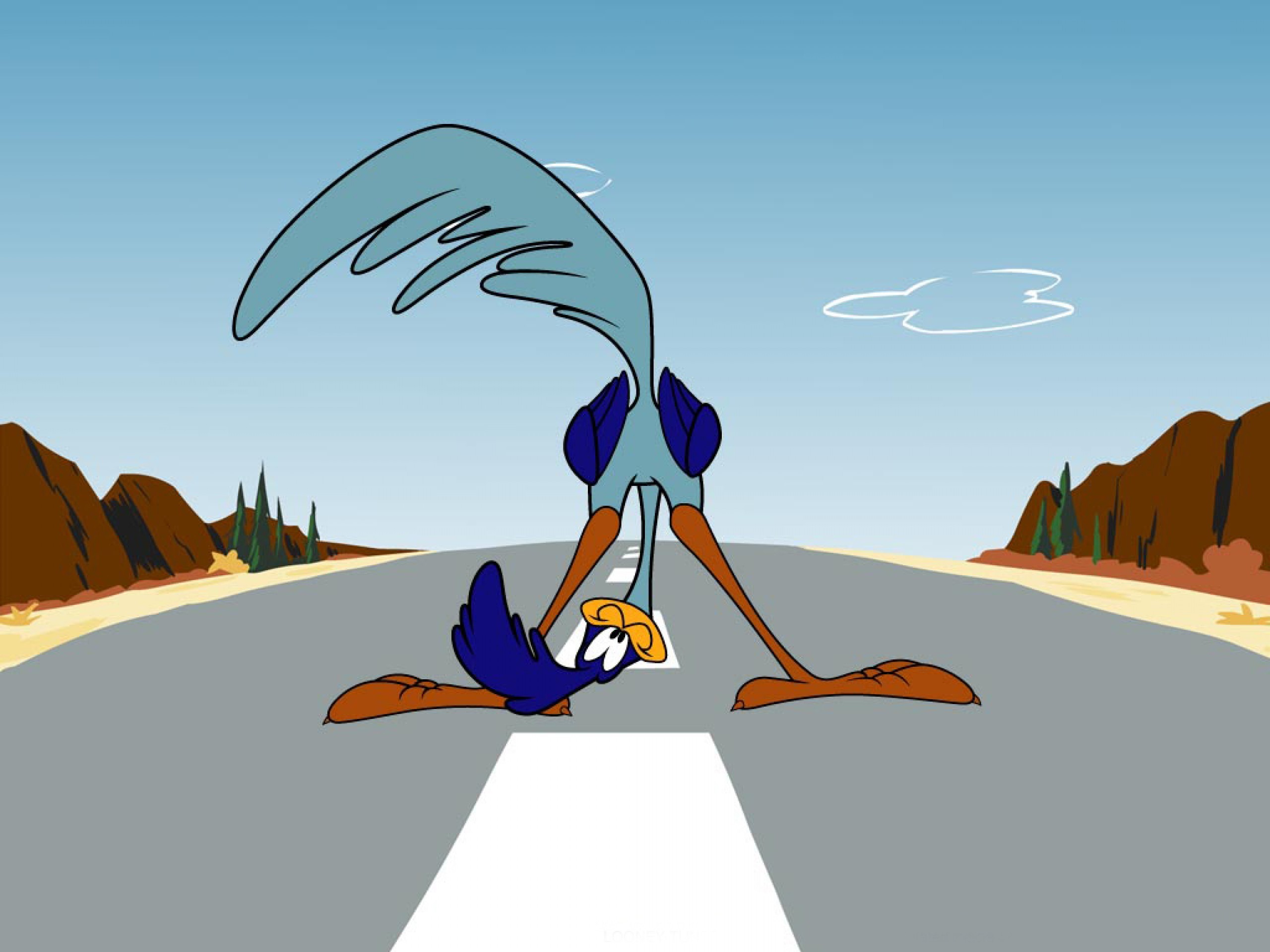 Road Runner And Wile E. Coyote Cartoon Wallpapers .