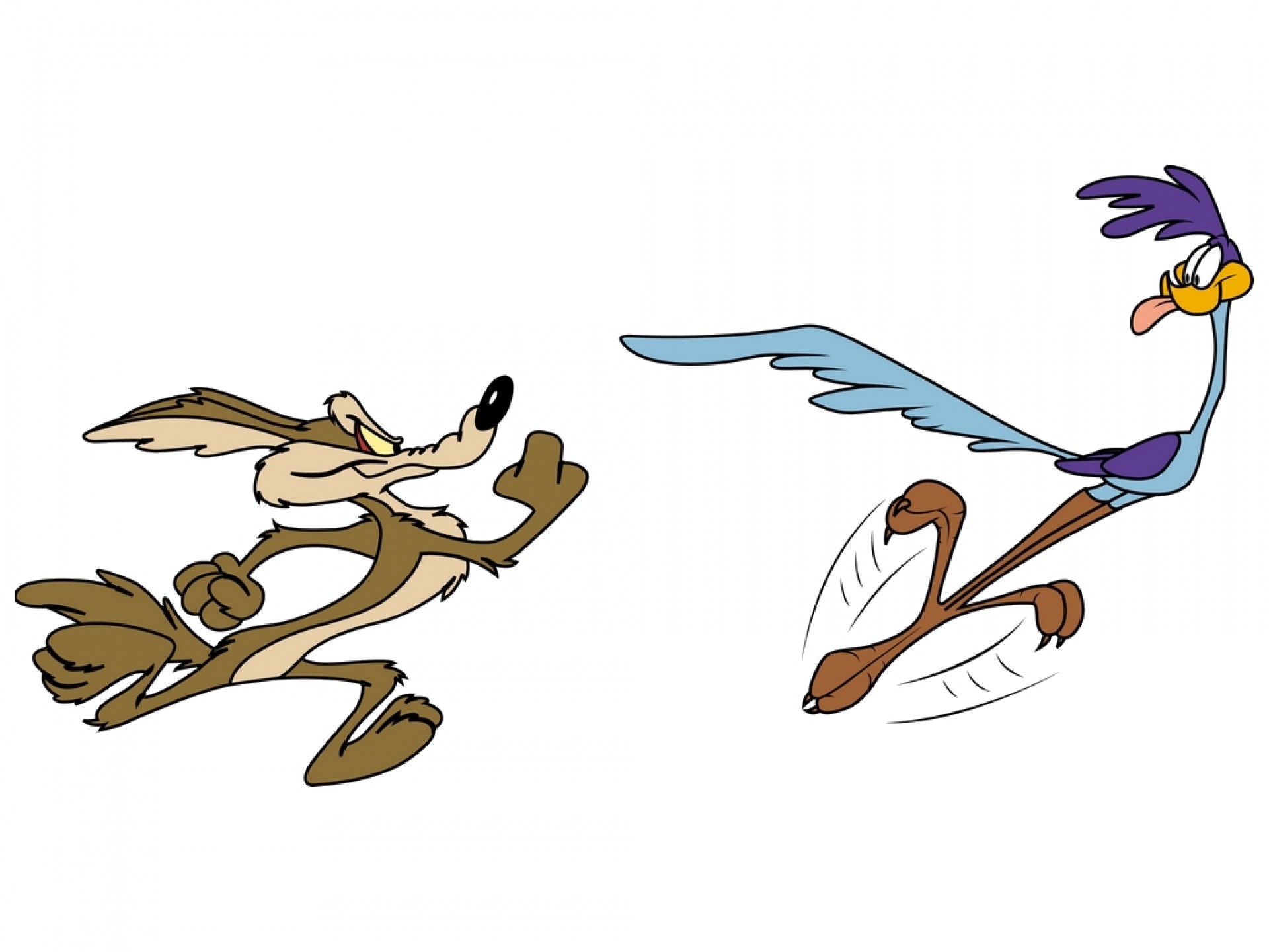 WILE E COYOTE looney road runner hr wallpaper | | 161115 |  WallpaperUP