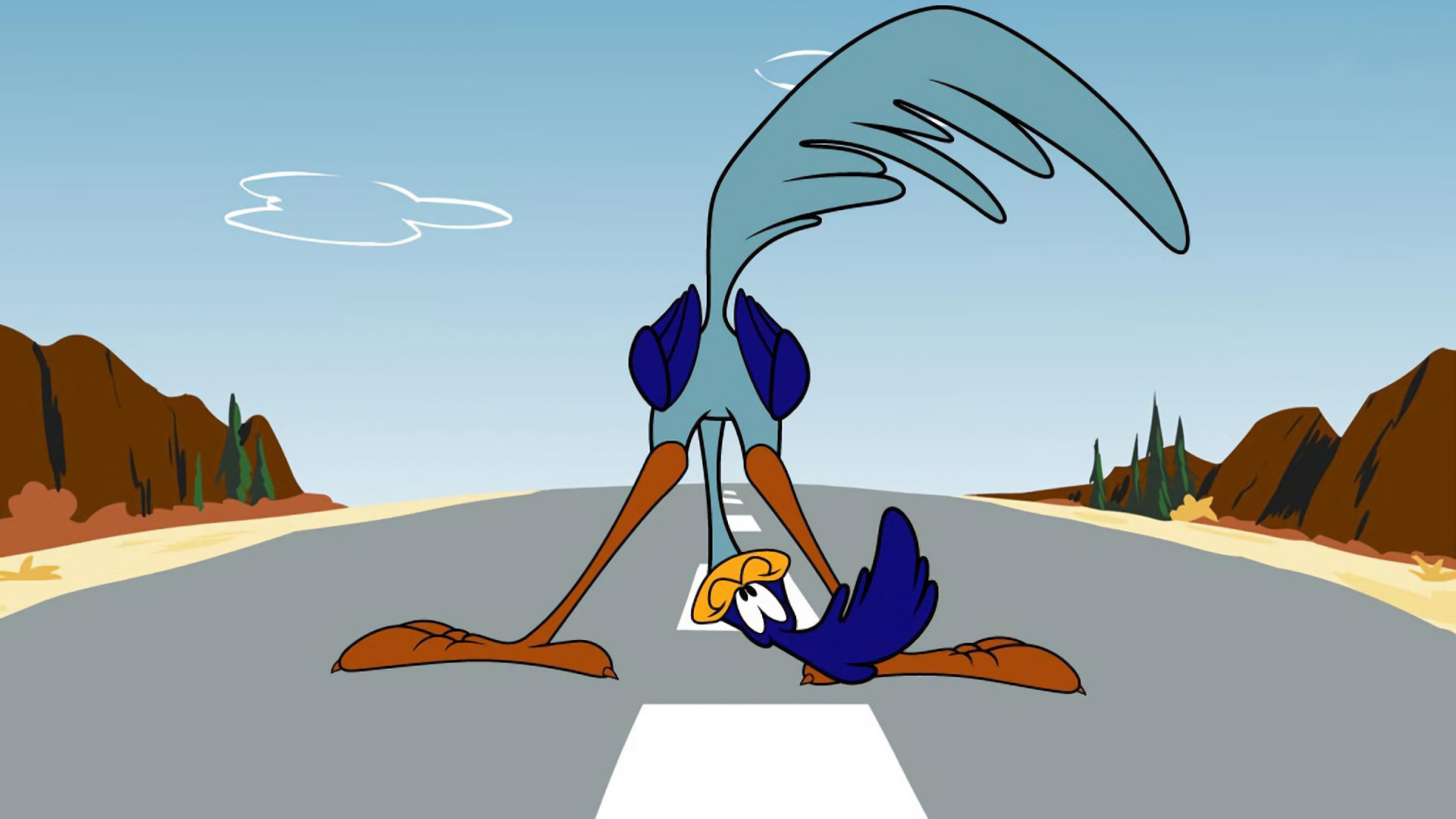 Cartoon – Wile E. Coyote and The Road Runner Wallpaper