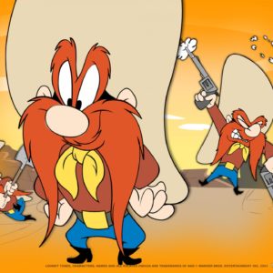Road Runner Cartoon