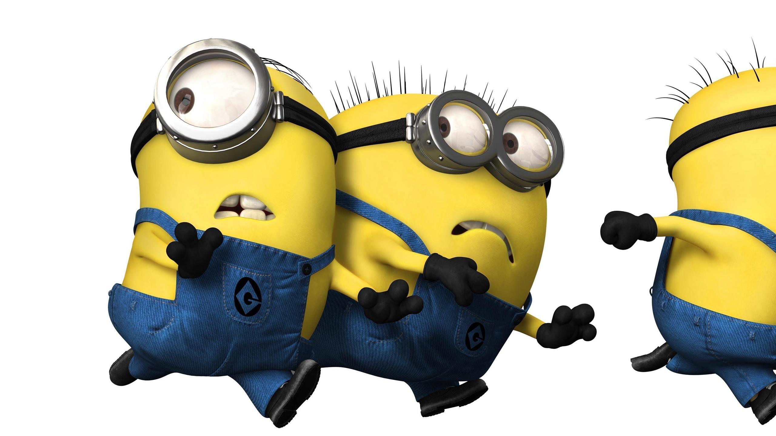 Cartoons Despicable Me Funny Wallpapers Images Photos 2560Ã1440 Minion  Despicable Me Wallpapers (38