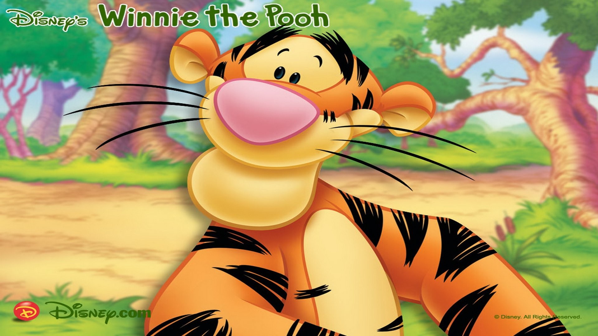 Winnie The Pooh Tigger