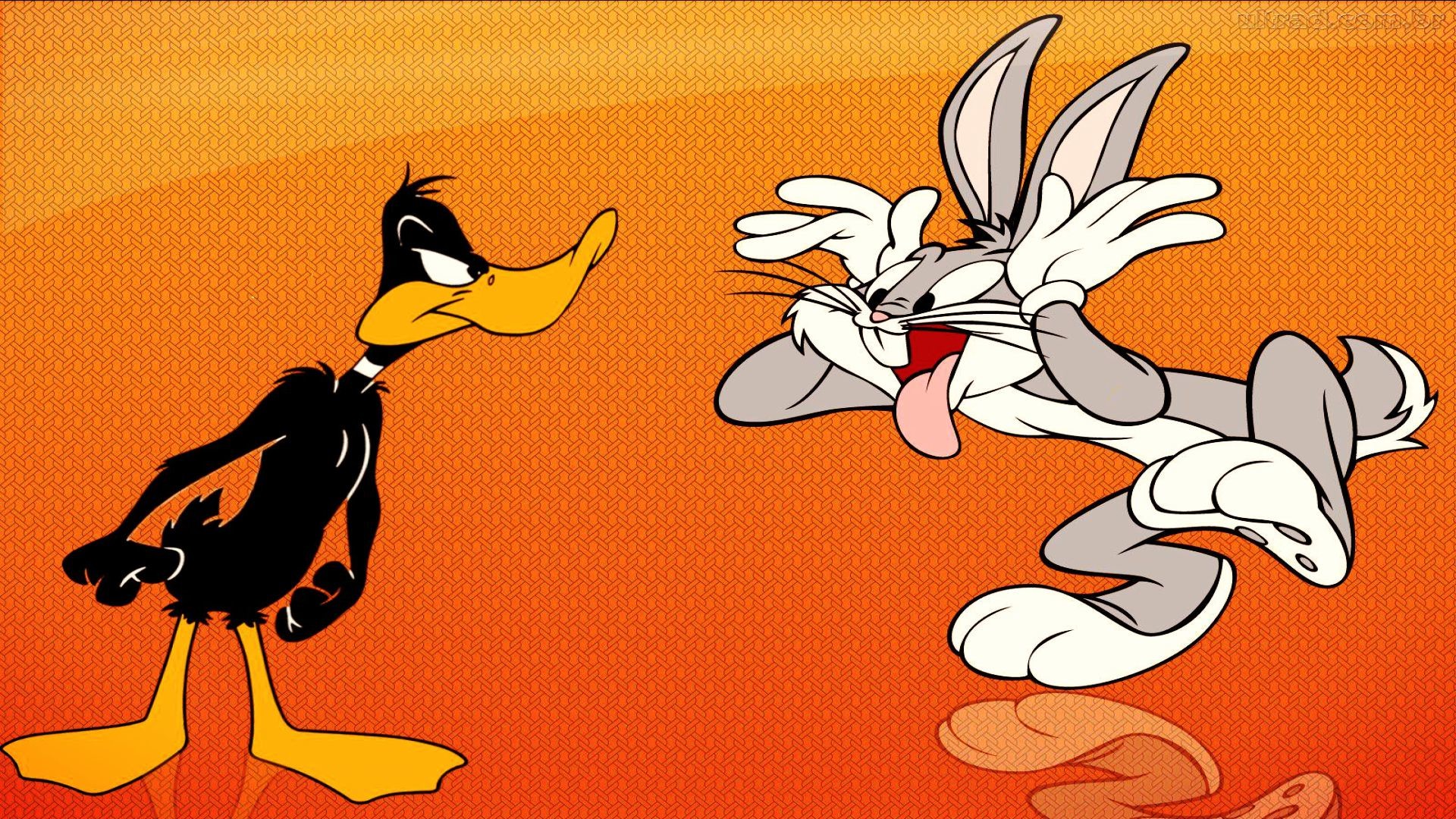 Looney Tunes Funny Wallpaper – Wallpaper, High Definition, High