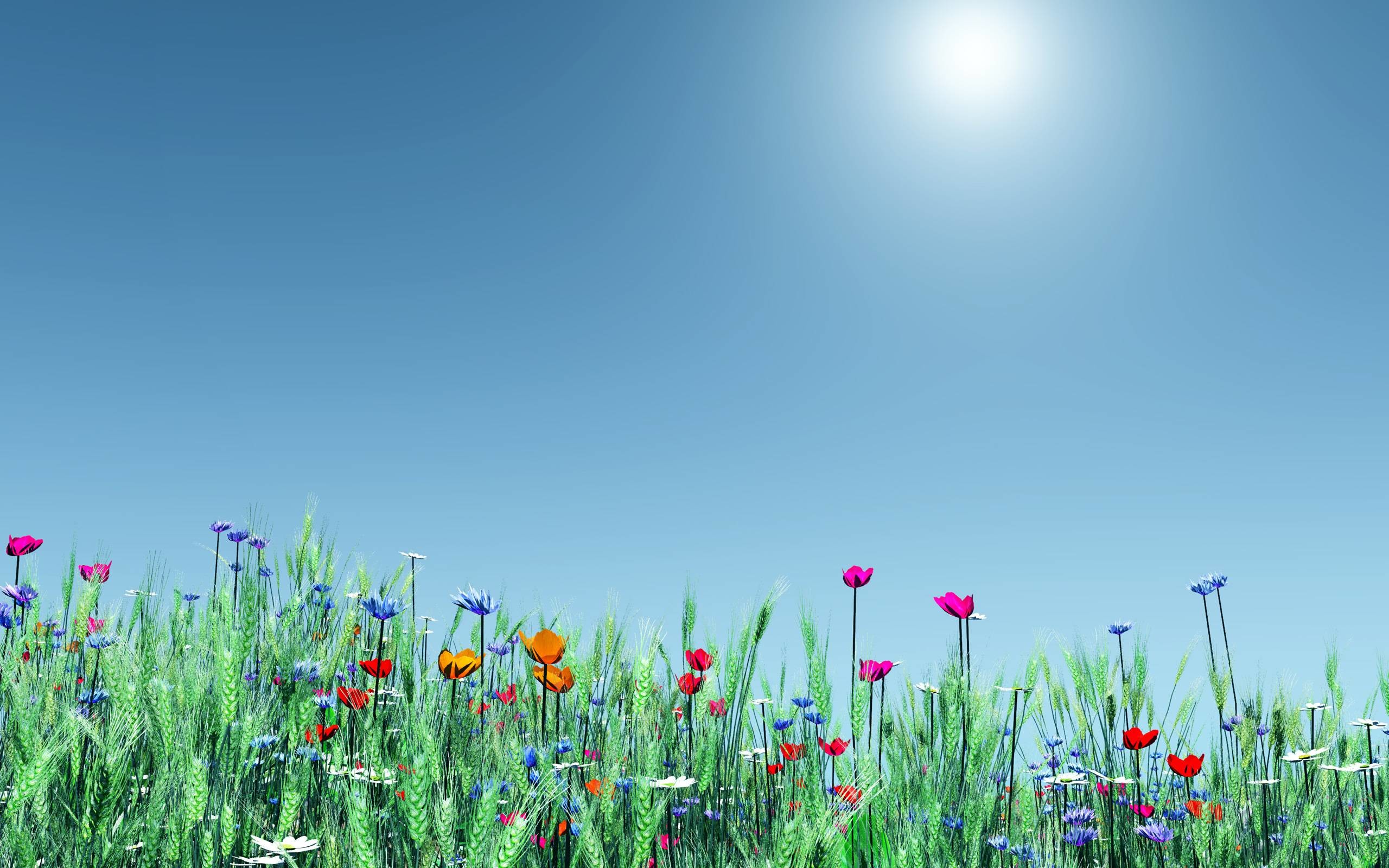 Spring Flowers Windows 8 and 8.1 Wallpapers Windows 8.1 Themes