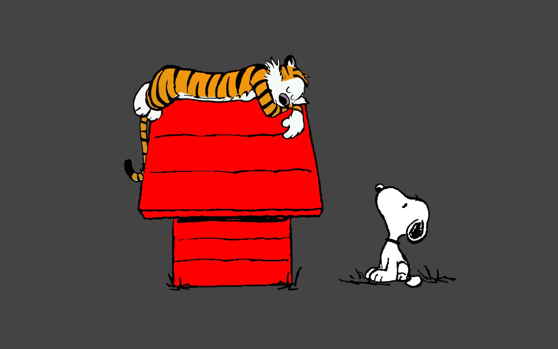 Snoopy Wallpapers HD tiger