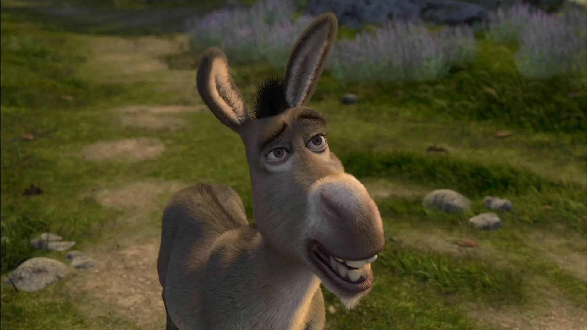 Donkey – Shrek 2