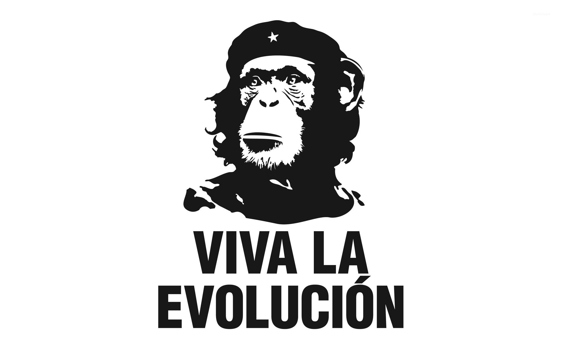 Viva la evolucion wallpaper jpg