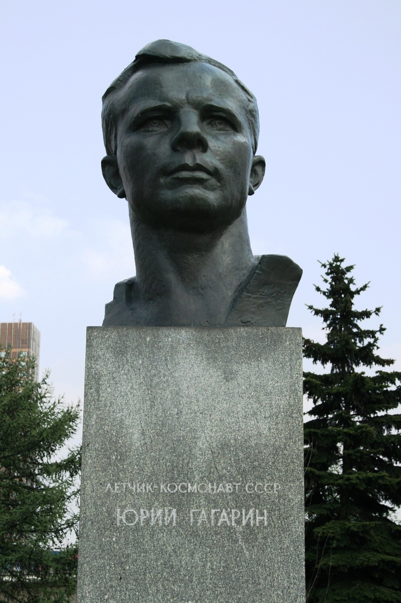 Male head bust