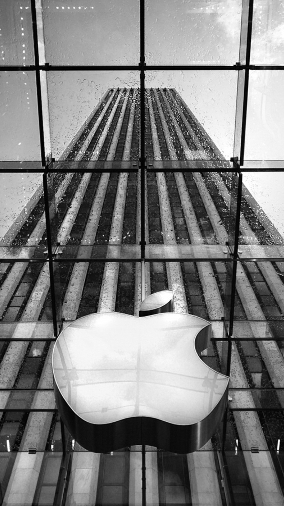 Download apple logo on apple store new york