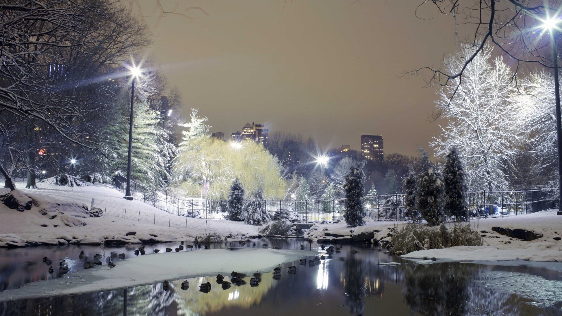 Wallpaper city , park, trees, winter, snow, lights