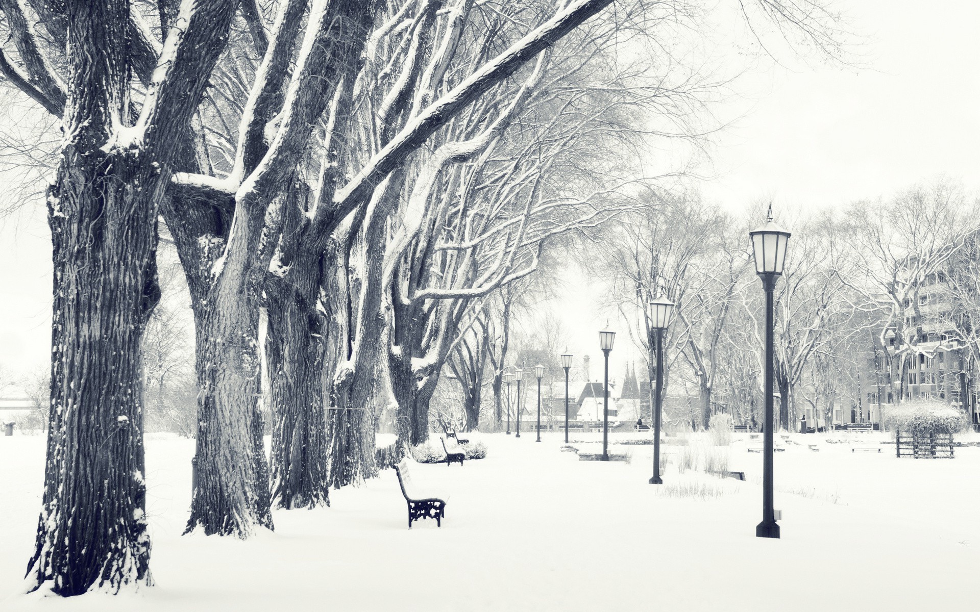 Photography, Landscape, Nature, Winter, Trees, Snow, Urban, City, Park, Bench Wallpapers HD / Desktop and Mobile Backgrounds