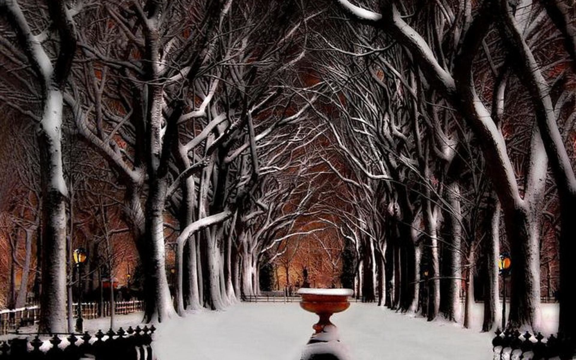 Christmas Snow Central Park, New York City Karl Tepfer