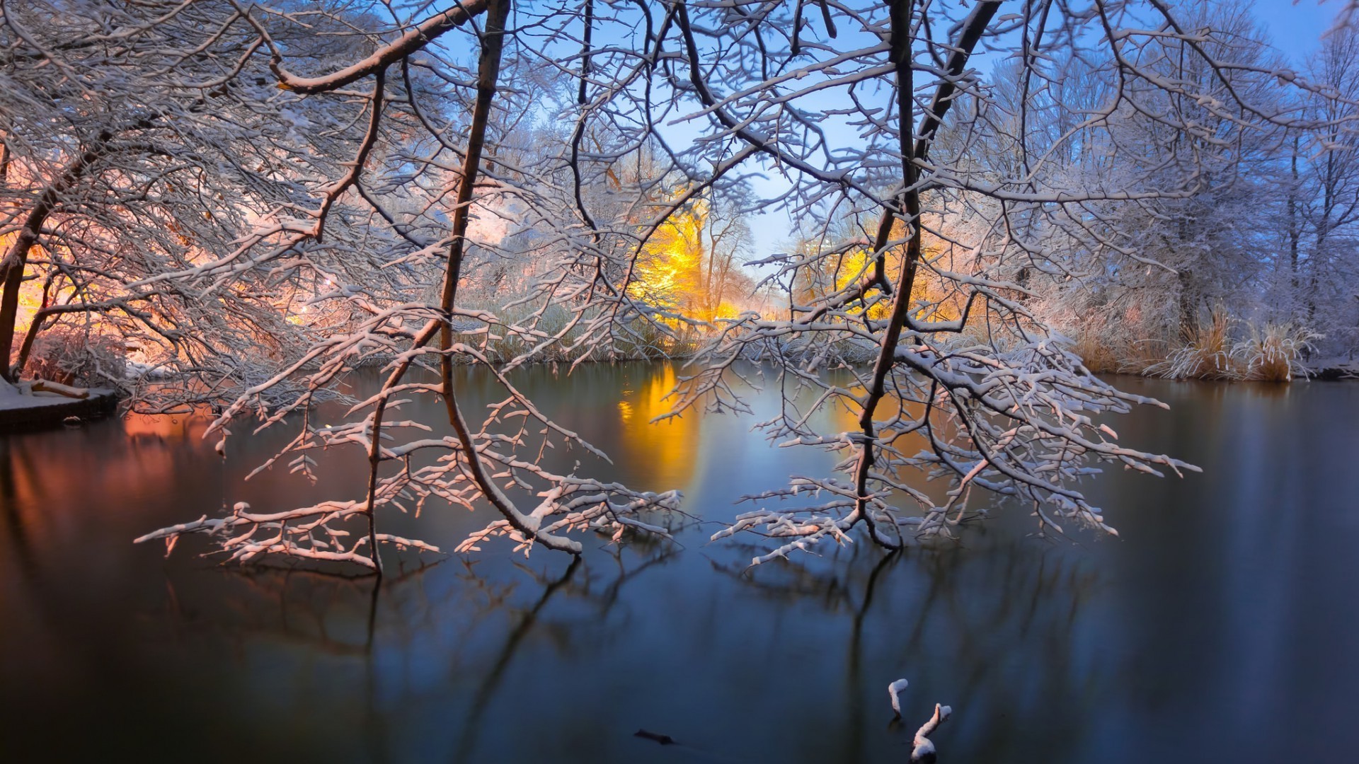 Nature, Landscape, Water, Lake, Trees, Brooklyn, Park, New York City, USA, Sunrise, Winter, Snow, Branch, Reflection, Morning, Long Exposure Wallpapers HD