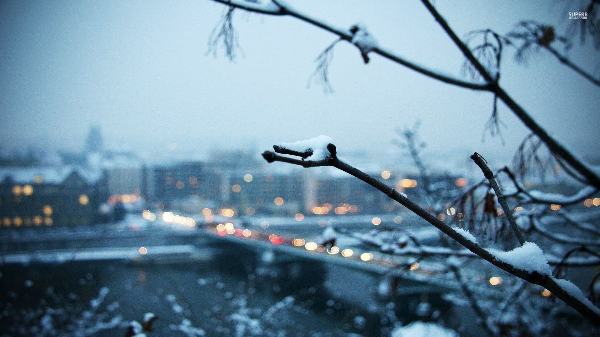 Snowy Branch With The City In Background