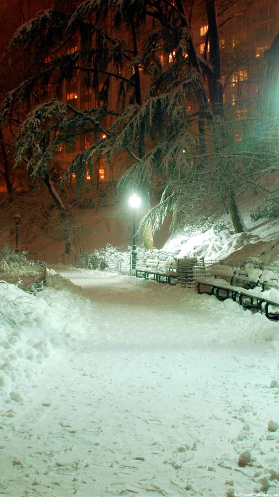 Beautiful Winter Night Wallpaper  PixelsTalkNet