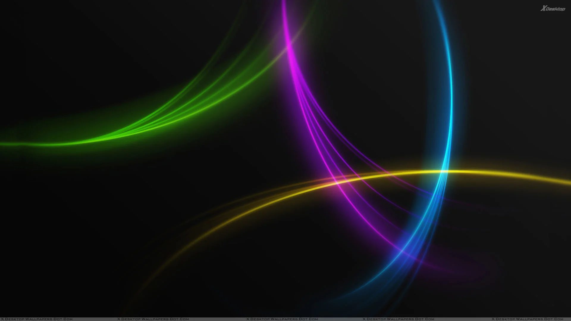 Beautiful Colorful Lines on Black Background Wallpaper