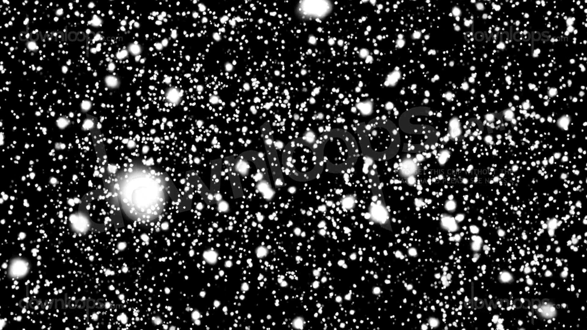 Snowflakes Approaching – Black Background – Snow And Christmas Motion  Background Video Loop – YouTube