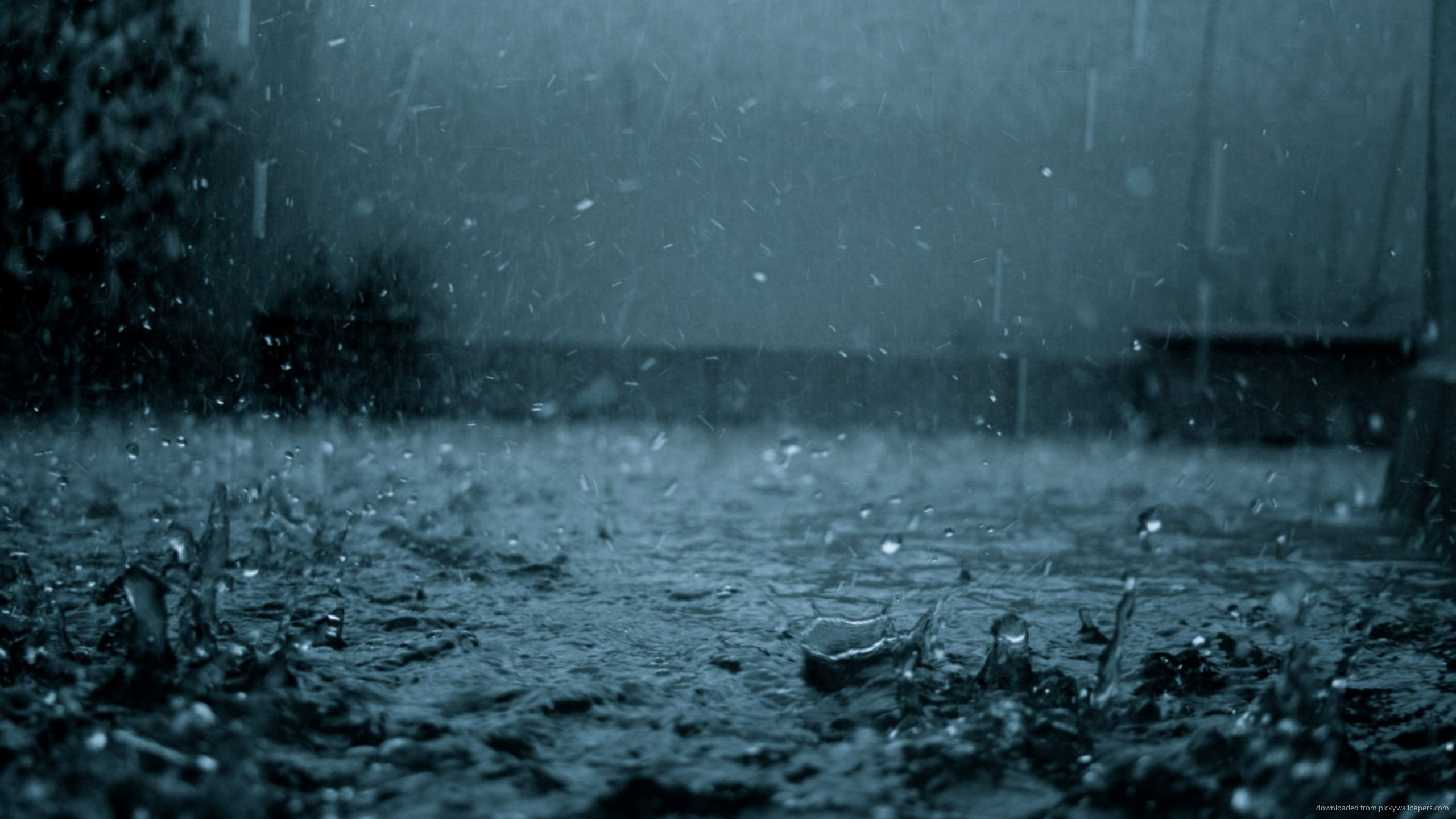 Dark Rain for 2560×1440