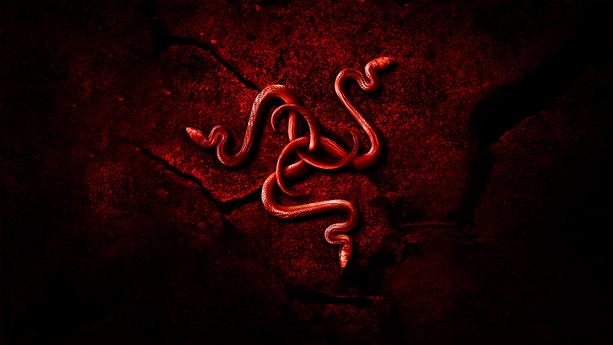 Razer wallpaper red by – photo . Reputation from Tuntematon Sotilas – Sopulifoorumi