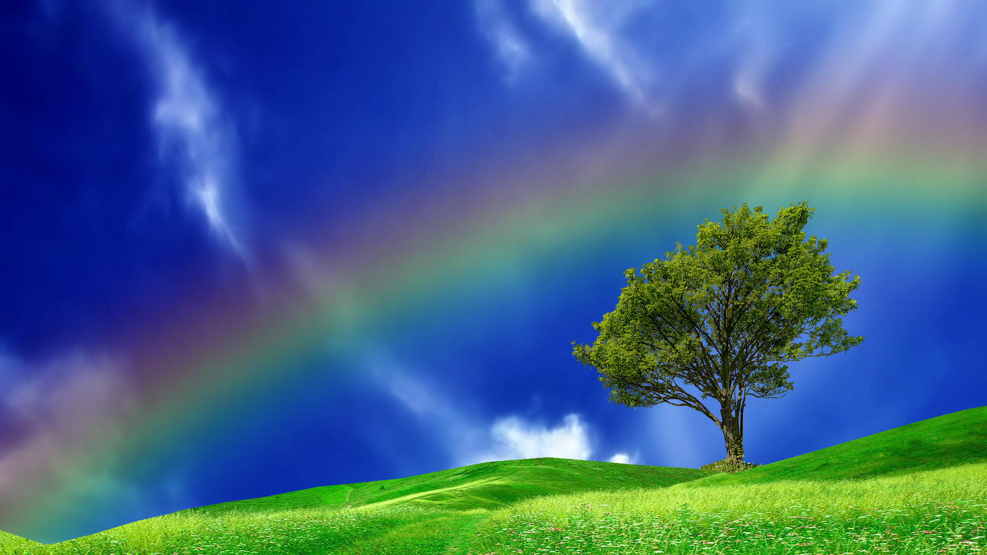Magnificent Rainbow In A Blue Sky Hd Desktop Background HD wallpapers