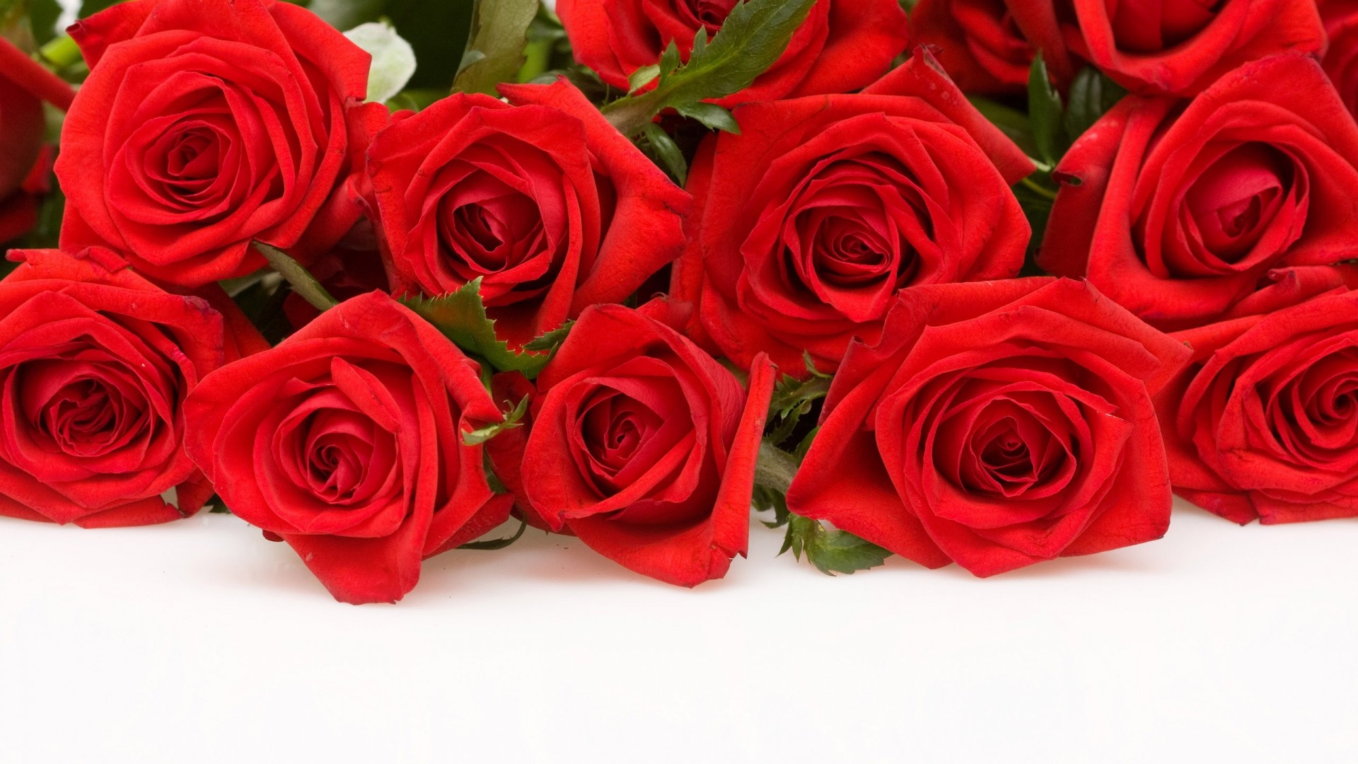 full hd 1080p red rose wallpapers full hd windows 10 backgrounds colourful  free hi res best
