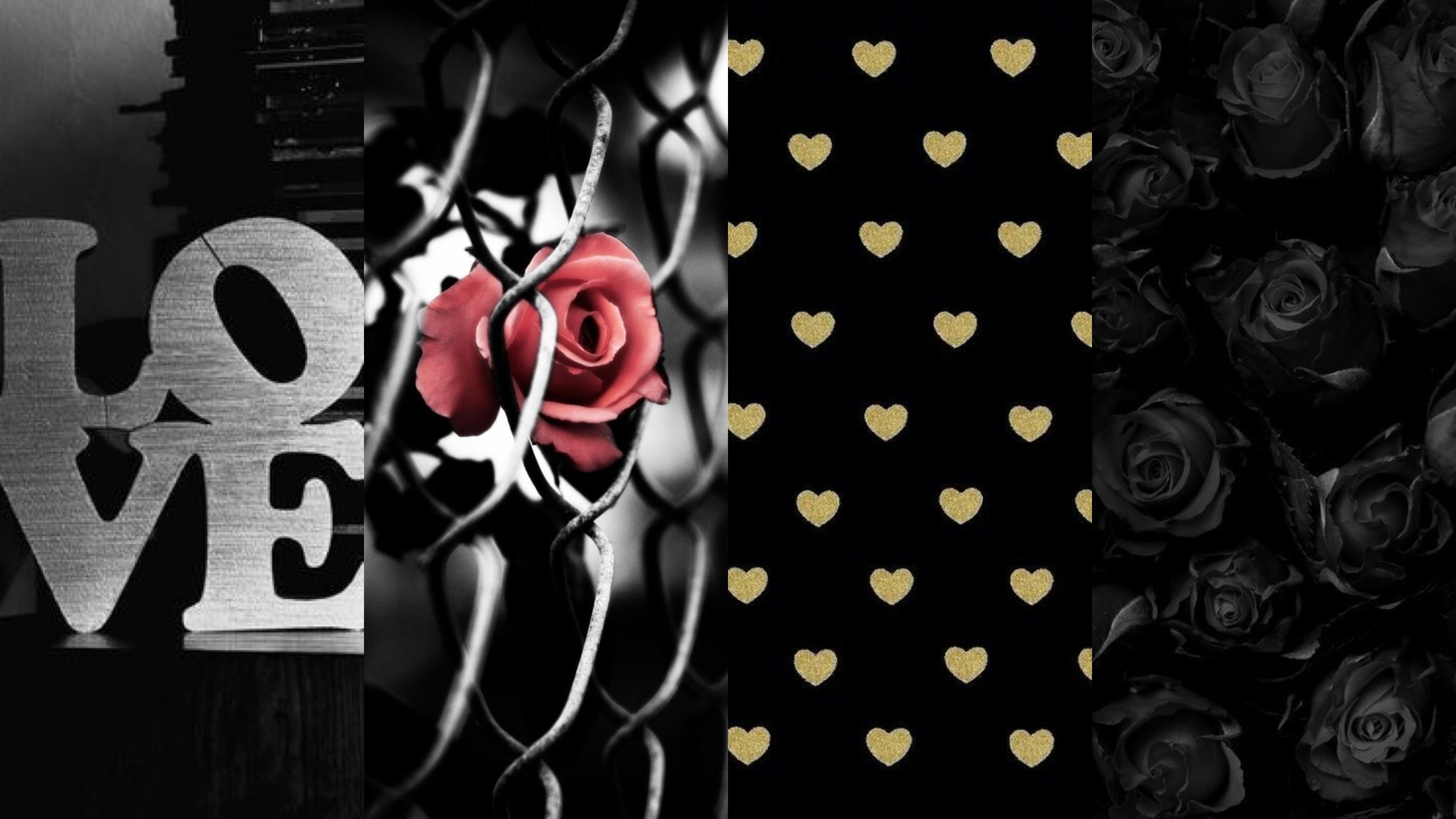 Love | Chain Link Rose | Gold Hearts | Black Roses