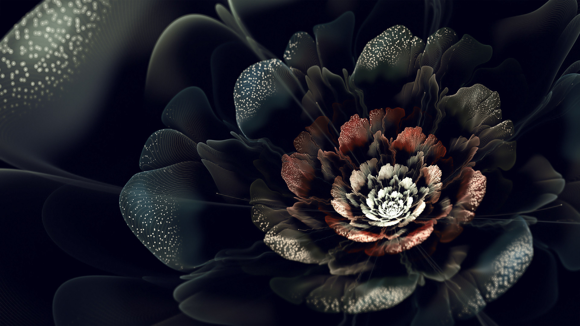 Black Roses Wallpapers Pictures Find best latest Black Roses Wallpapers Pictures in HD for your PC desktop background and mobile phones